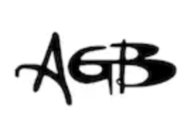 AGB Laptop Spare Parts